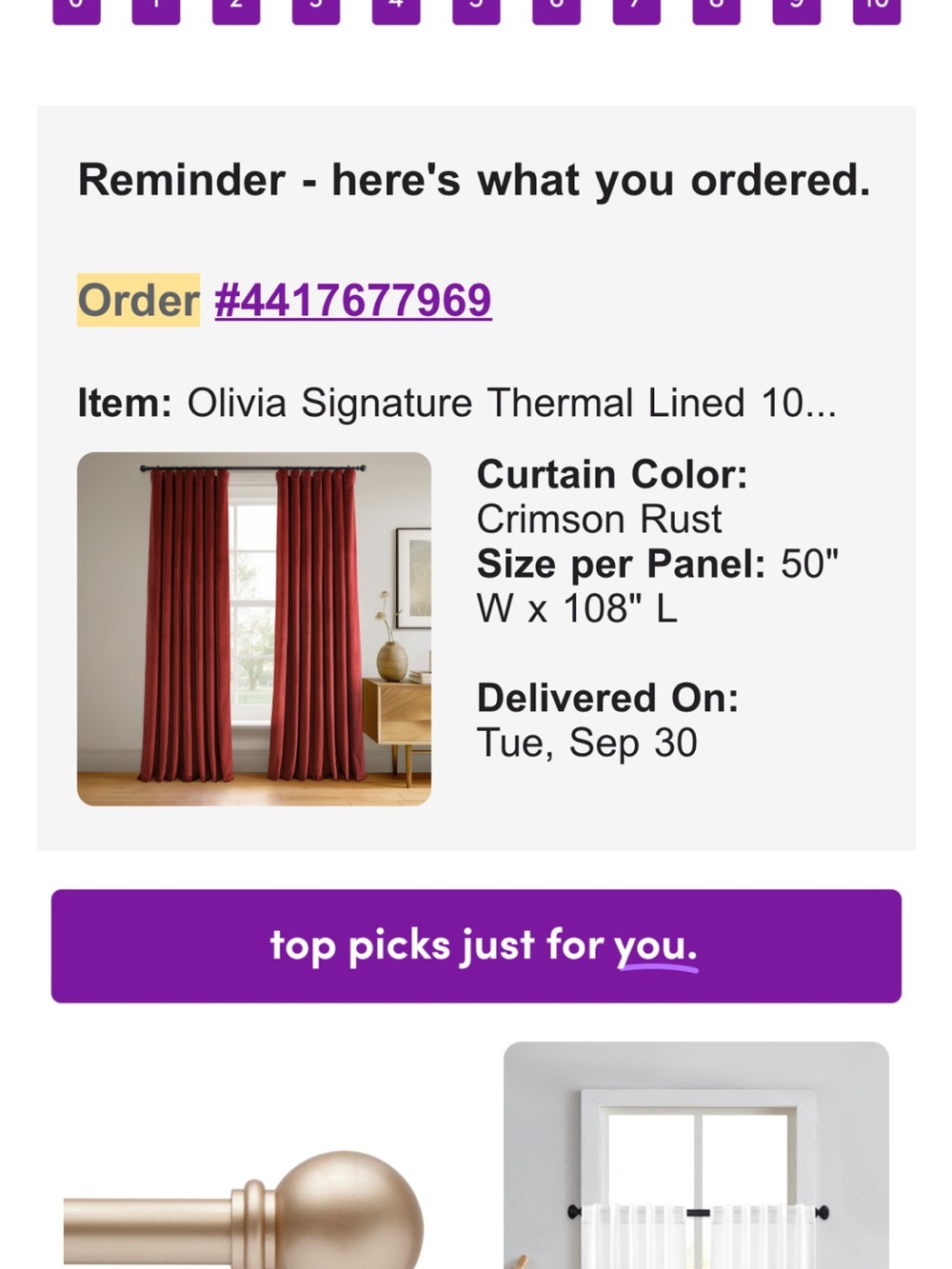 Velvet Signature Crimson Rust Thermal Curtain Panel